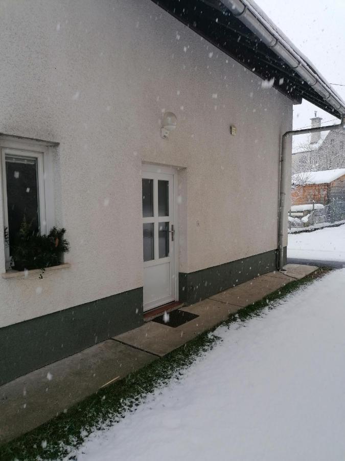 Apartma Tilika Краньска Гора Экстерьер фото