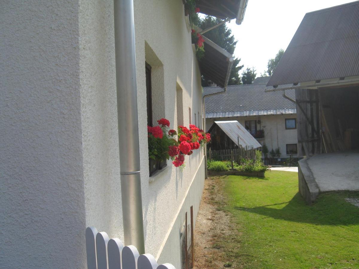 Apartma Tilika Краньска Гора Экстерьер фото